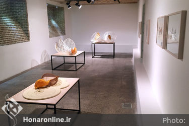 نمایشگاه آثار محبوبه حسینی موسوی در گالری پروژه‌های آران