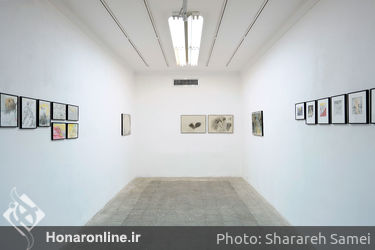 افتتاحیه نمایشگاه نقاشی های ندا زارع در گالری امکان