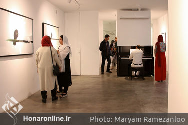 نمایشگاه عکس مهدی شادی‌زاده در گالری سایه