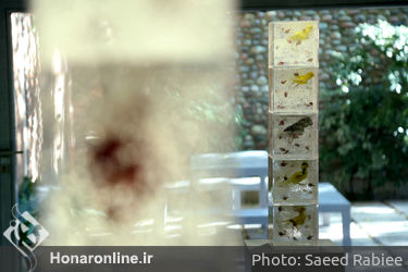 نمایشگاه آثار هامد جابرها در گالری آران
