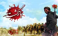 پخش مجموعه 