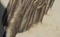 تابلوی سهراب سپهری بر روی دیوار خیابان ولیعصر(عج) نقش بست
