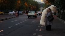 «تهران شهر عشق» مجوز نمایش گرفت