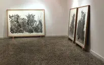 نمایشگاه آثار کسری گلرنگ در گالری هما
