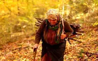 دو جایزه‌ سیسیلی‌ها به 