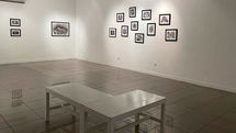 Sormeh Arab Drawing Exhibit Underway at Vista Gallery 