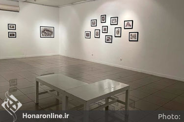 نمایشگاه آثار سرمه عرب در گالری ویستا