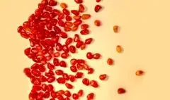 اجرای یلدایی «آیین شادی» ویژه بانوان در برج آزادی 