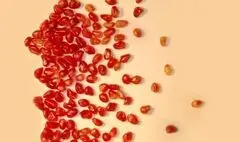اجرای یلدایی «آیین شادی» ویژه بانوان در برج آزادی 