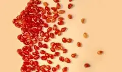 اجرای یلدایی «آیین شادی» ویژه بانوان در برج آزادی 