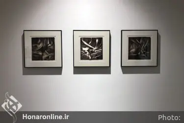 نمایشگاه آثار لیلی رشیدی در گالری اعتماد