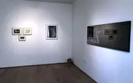 نمایشگاه آثار سارا رشیدی در گالری سایه
