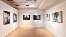 NY Artifact Hosting Iranian artist  Afra Safa Painting Exhibition 