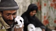 Big Sky documentary festival picks three Iranian films 