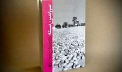 روایتی از سرگذشت پسته: از رفسنجان تا کالیفرنیا