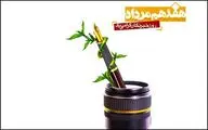 پیام محمدرضا نوروزپور برای روز خبرنگار