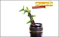 سنگرسازان بی‌سنگر و طلایه‌داران جبهه آگاهی روزتان مبارک...