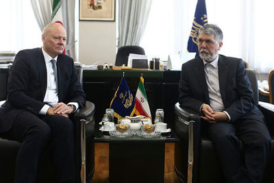 German ambassador, Iranian culture minister meet 