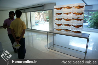 نمایشگاه آثار هامد جابرها در گالری آران