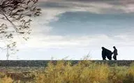 مستند 