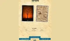«کابوک» و «پوتین‌های زنانه» به پاتوق مستند رسیدند