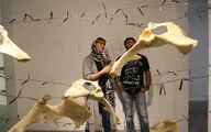 Nooshin Sharifat Installation Art in Sayeh Gallery