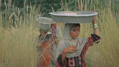 Movies from Iran line up for Providence Children’s Film Festival