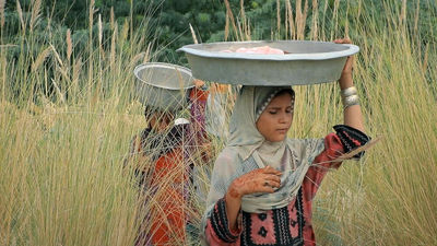 Movies from Iran line up for Providence Children’s Film Festival