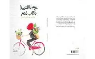 کتاب «بوم نقاشی را رکاب زدم» منتشر شد