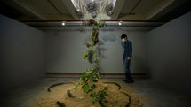 A Selection of Photographs Taken from Visual Arts in 2022-2023 (1401) 