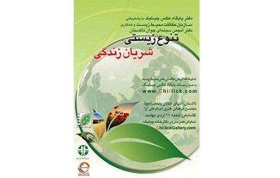 آثار عکاسان حامی محیط زیست به تاکستان رسید
