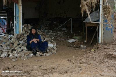 Iranian artists back flood relief efforts