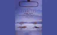 Termites Wins 2 Awards at Figura Filmfest. in Portugal