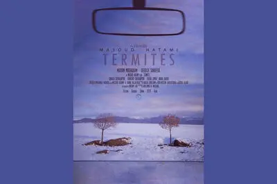 Termites Wins 2 Awards at Figura Filmfest. in Portugal