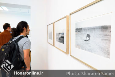 نمایشگاه آثار محسن شاهمردی در گالری امکان