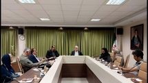 دیدار سرپرست معاونت امورهنری وزارت فرهنگ با شورای سیاست‌گذاری جشنواره آیینی و سنتی
