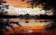 آلبوم 
