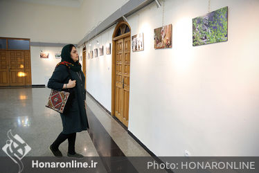 دومین جشنواره ملی عکس شاهنامه در فرهنگسرای اشراق