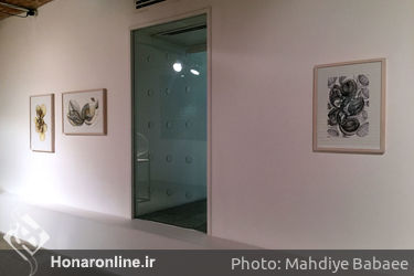 نمایشگاه آثار محبوبه حسینی موسوی در گالری پروژه‌های آران