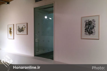 نمایشگاه آثار محبوبه حسینی موسوی در گالری پروژه‌های آران