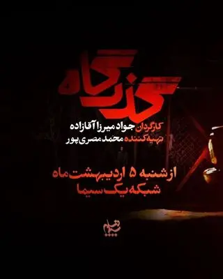 آغاز سریالی جدید با بازی لیلا زارع و حمیدرضا پگاه