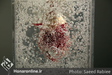 نمایشگاه آثار هامد جابرها در گالری آران