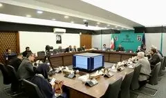 آخرین جلسه شورای هنر به ریاست وزیر فرهنگ برگزار شد/ سند سینما به تصویب شورای هنر رسید