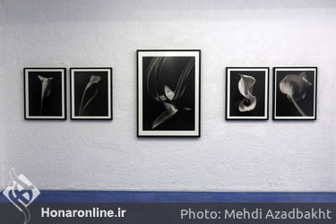 نمایشگاه عکس کنرو ایزو در مرکز نبشی