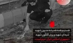  ابیاتی به یاد شهدای مظلوم حادثه تروریستی کرمان