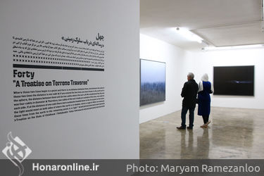  نمایشگاه آثار مهرداد افسری در گالری محسن