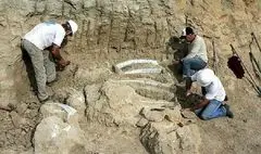 کشف آثار معماری دوره اشکانی توسط باستان‌شناسان موزه لوور و دانشگاه تهران / اصلاح گمانه‌زنی قدمت محوطه تاریخی فاروج 