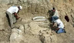 کشف آثار معماری دوره اشکانی توسط باستان‌شناسان موزه لوور و دانشگاه تهران / اصلاح گمانه‌زنی قدمت محوطه تاریخی فاروج 