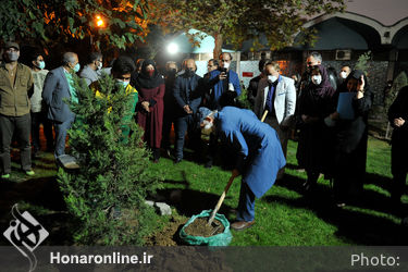 کاشت نهال به یاد استاد زنده‌یاد " سعدی افشار" هنرمند پیشکسوت نمایش‌های سنتی در محوطه پارک شهر