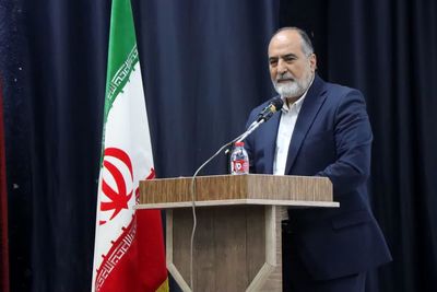 رونق سینمای محلی، گسترش سرمایه فرهنگی 